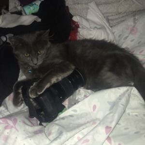 Meet your Posher, Aaron